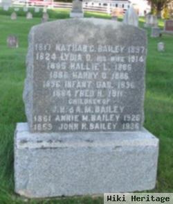 Harry D. Bailey