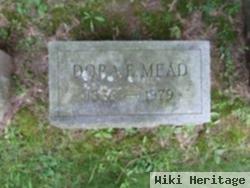 Dora E Mead