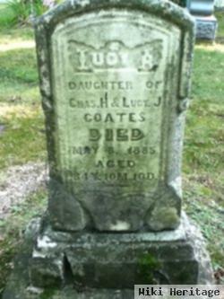 Lucy A Coates