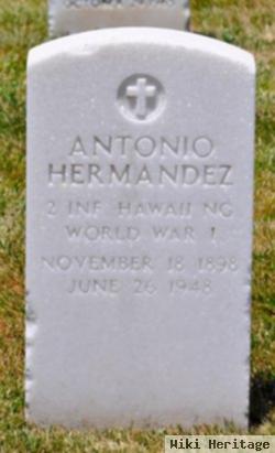 Antonio Hernandez