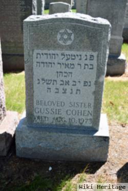 Gussie Cohen