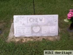 Anna Elizabeth Selby Chew