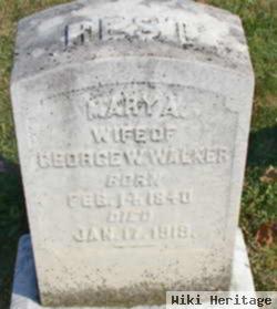 Mary Ann Dickey Walker