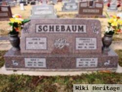 Dale T. Schebaum