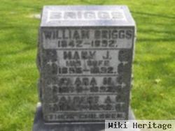 William Briggs