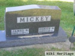 Eunice Alvira Girton Mickey