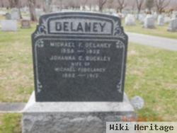 Johanna E. Buckley Delaney