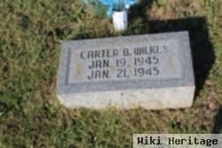 Carter Bowers Wilkes