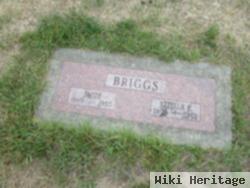 Smith Briggs