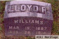 Lloyd R Williams