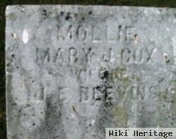 Mary Jane "mollie" Cox Blevins