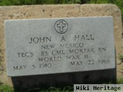 John A Hall