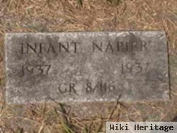 Infant Napier