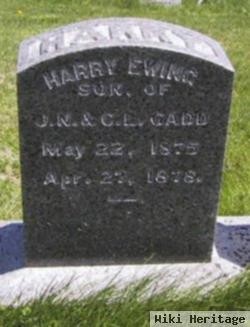 Harry Ewing Gadd