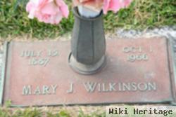 Mary J Wilkinson