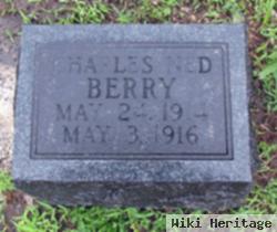 Charles Ned Berry