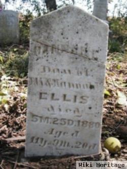 Hannah E. Ellis