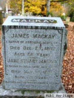 Jane Stuart Mackay