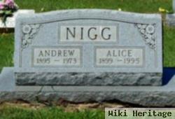 Andrew Nigg