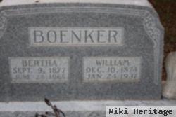 Bertha Louise Anna Suehr Boenker