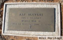 Ray Blevens