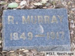 Robert Murray