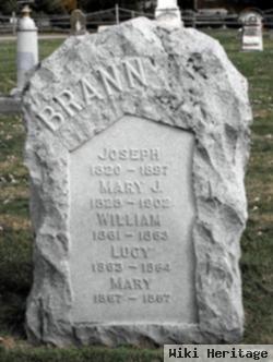 Joseph Brann