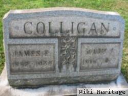 James E Colligan