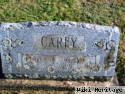 Robert E Carey, Jr