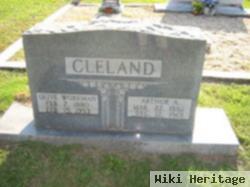 Olive Jane Workman Cleland