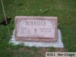 Ernst J. Behnisch
