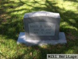 Daisy Hill Hodge