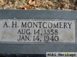 Alexander Hamilton Montgomery