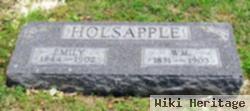 William A Holsapple