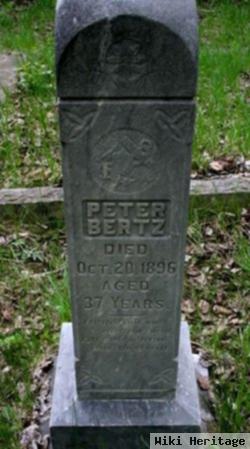 Peter Henry Bertz