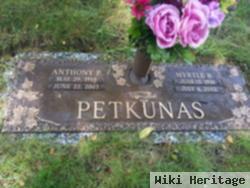 Anthony P Petkunas