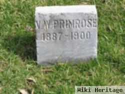 V. W. Primrose