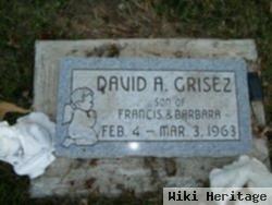 David A. Grisez