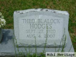 Theo B Hodges