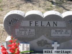 David R Felan