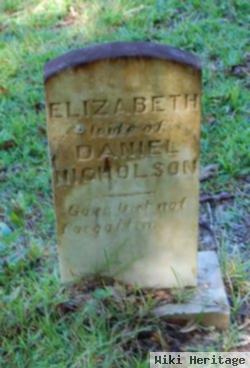 Elizabeth Mclendon Nicholson