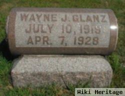 Wayne J. Glanz