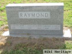 Lillian A. Hacke Raymond