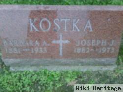 Joseph J Kostka