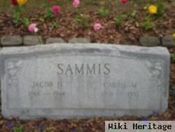 Jacob Henry Sammis