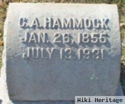 Cornelius Allen Hammock