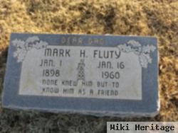 Mark H Fluty