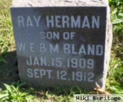 Ray Herman Bland