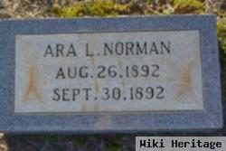 Ara L Norman