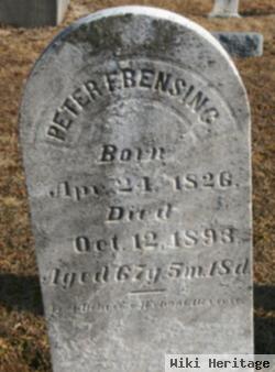 Peter F Bensing